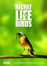 Bí ẩn cuộc sống loài chim - The Secret Life of Birds (2012)