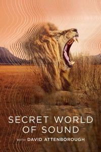 David Attenborough: Thế giới bí mật của âm thanh - Secret World of Sound (2024)