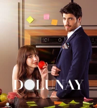 Dolunay - Full Moon (2017)